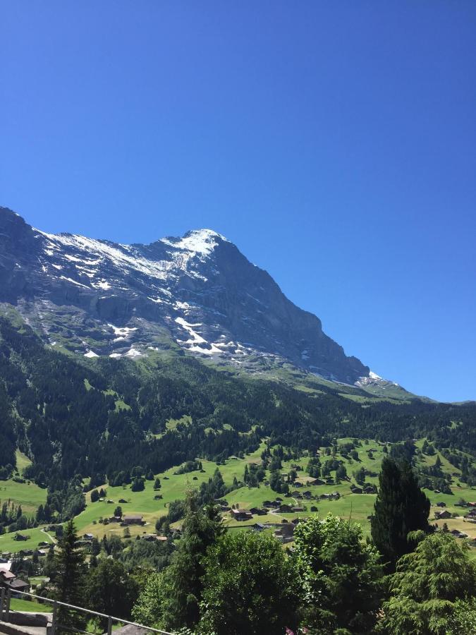Apartment Jungfrau Lodge Гріндельвальд Екстер'єр фото